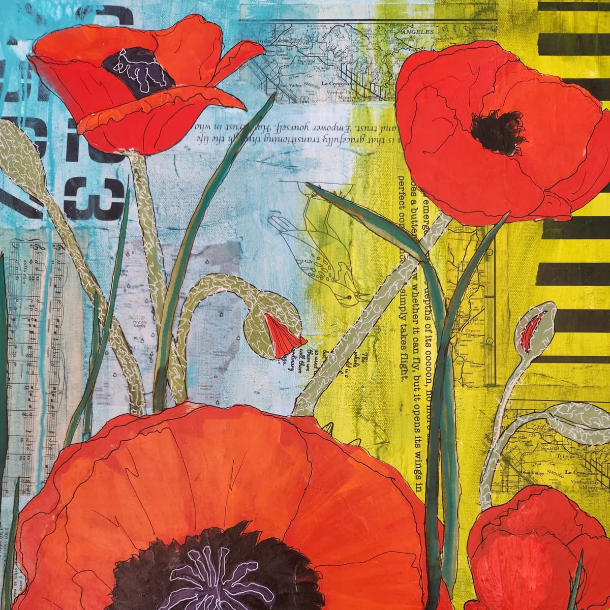 My Mother's Poppies