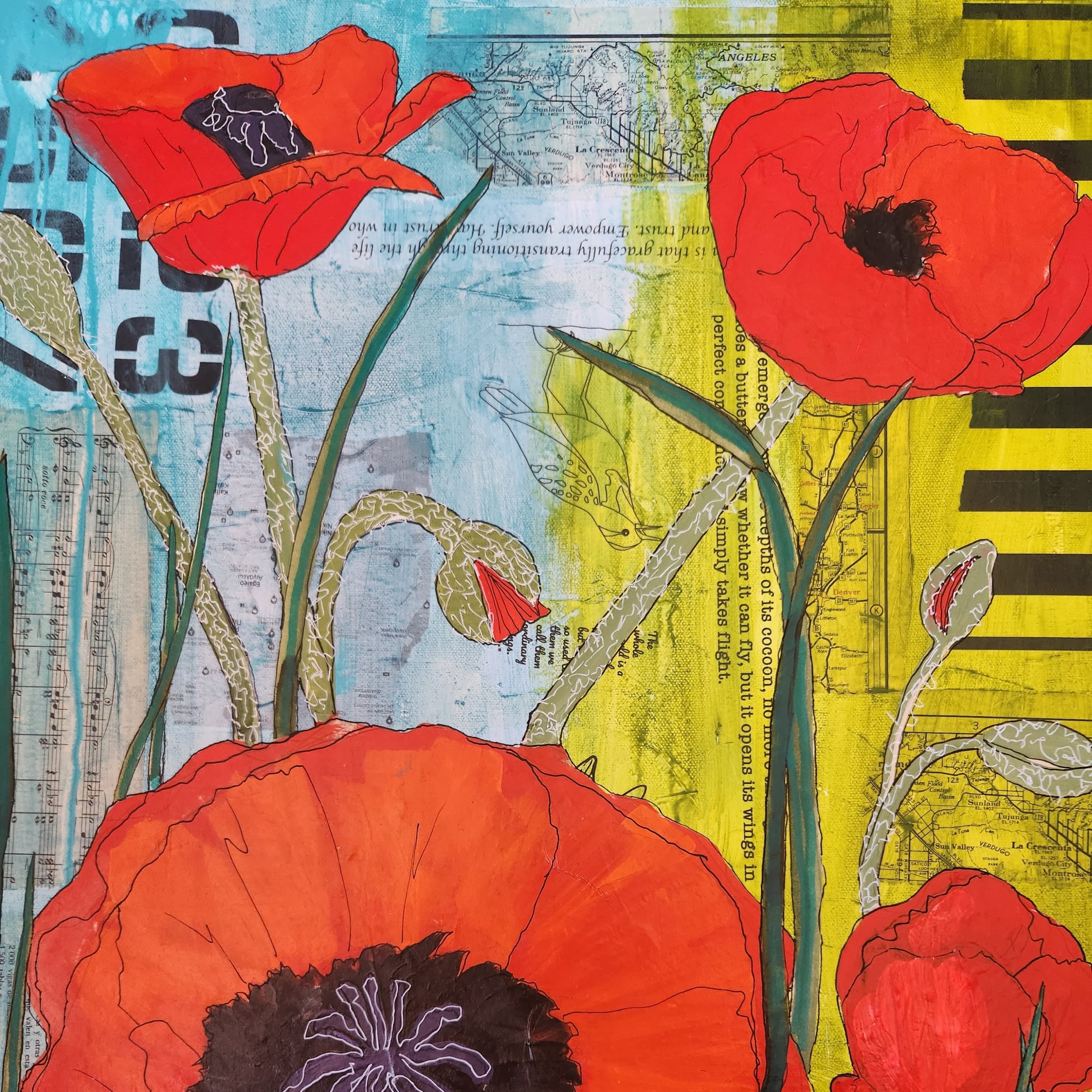 My Mother's Poppies