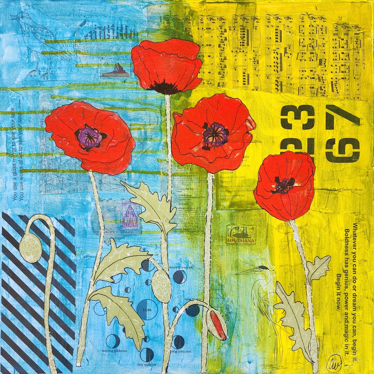 Red Poppies