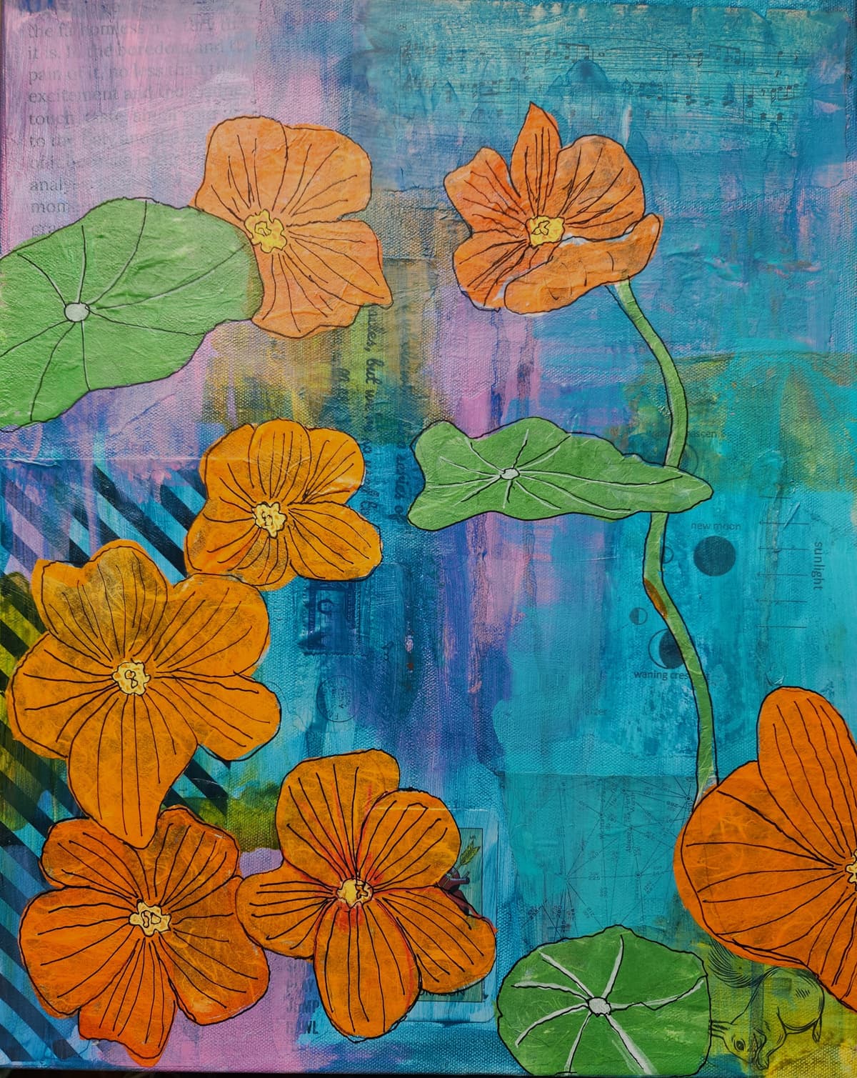 Nasturtiums