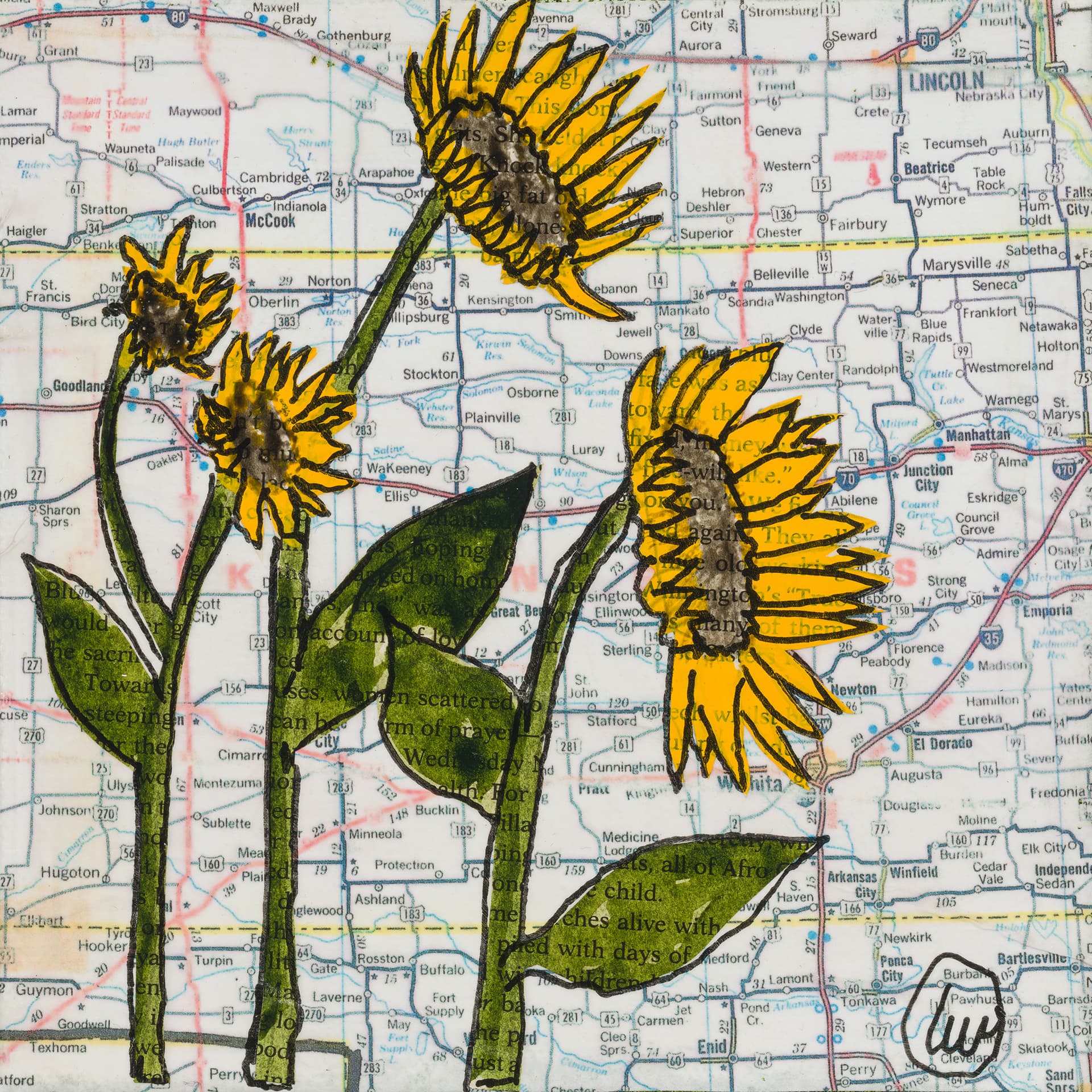 Kansas State Flower: Sunflowers