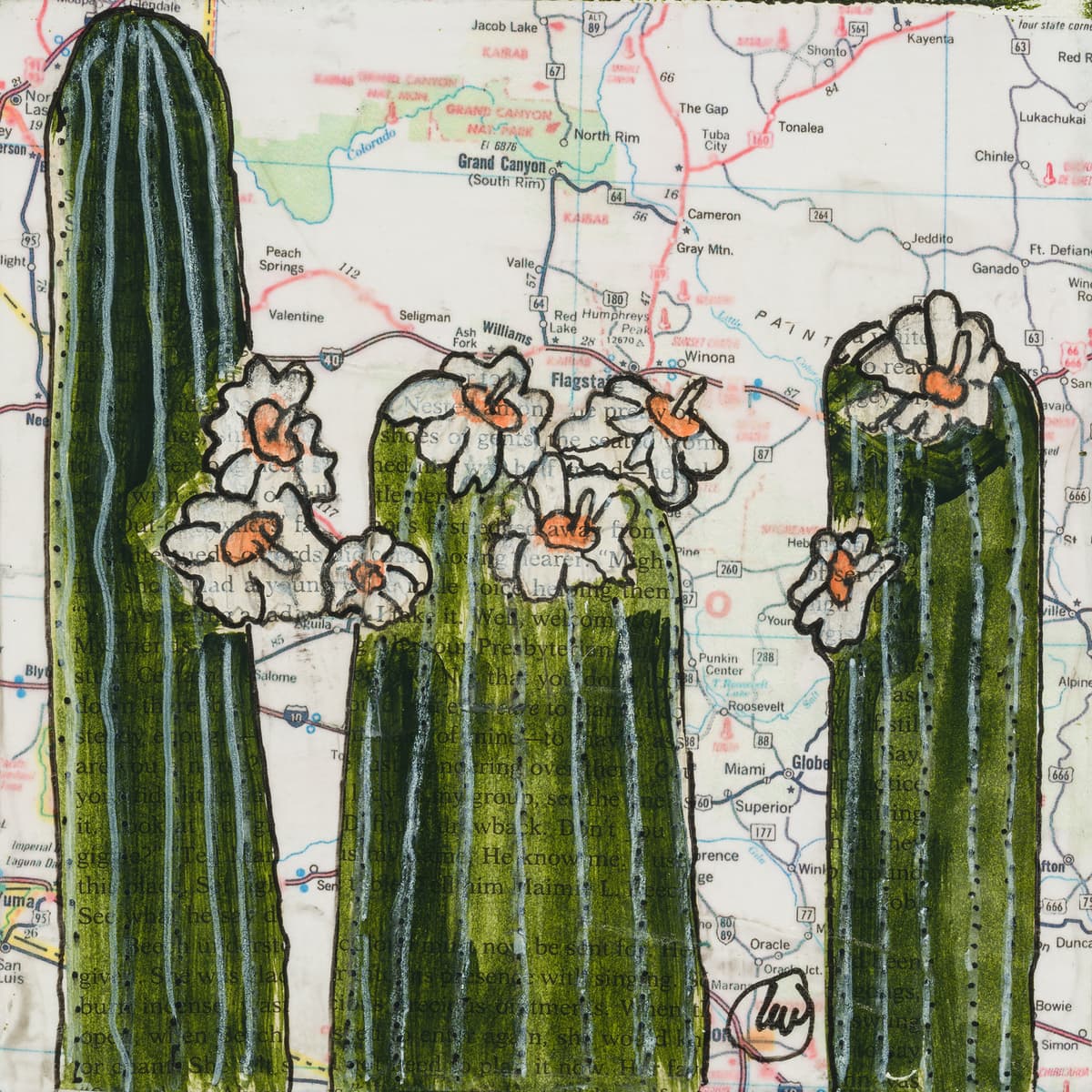 State Flower of Arizona: Saguaro