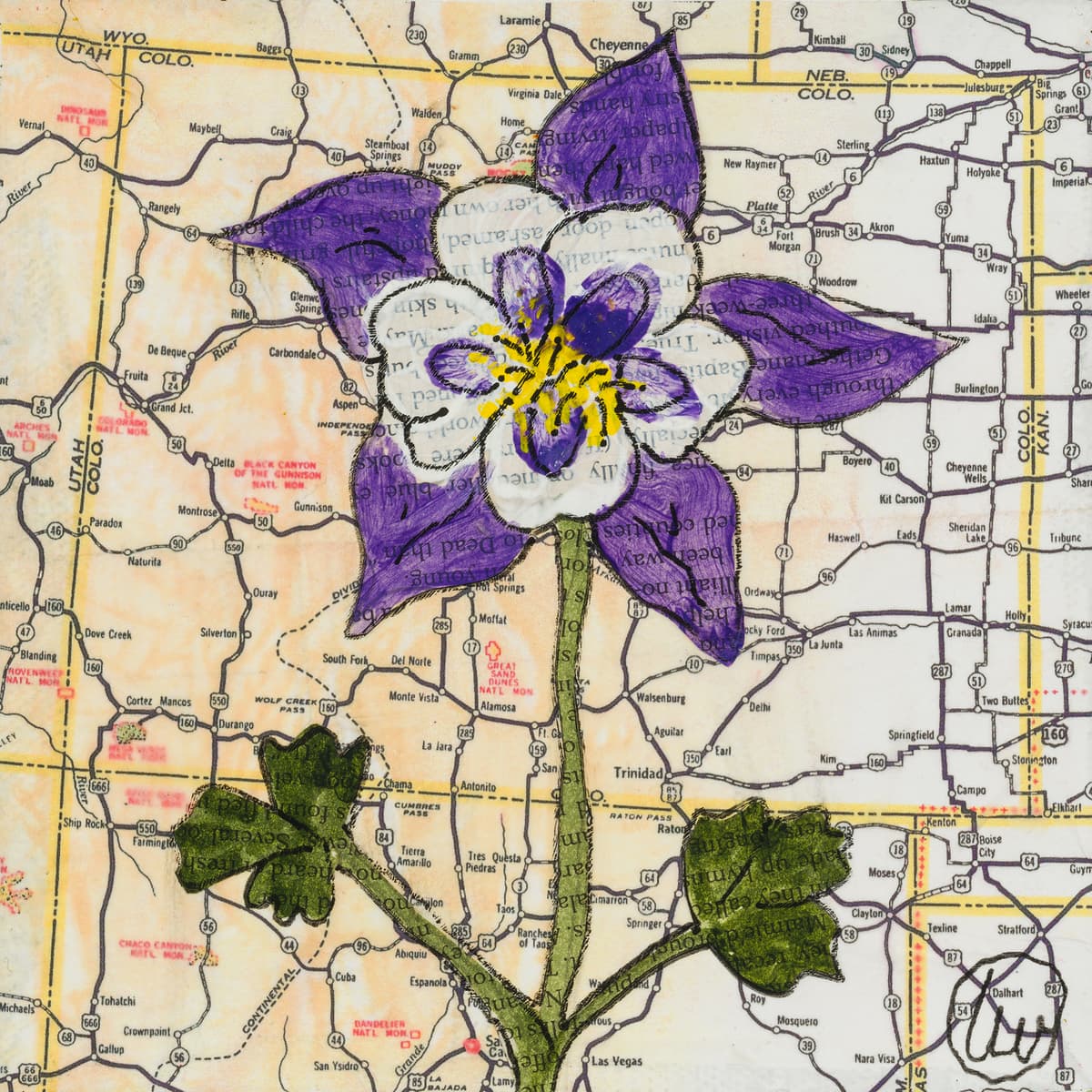 State Flower of Colorado: Columbine