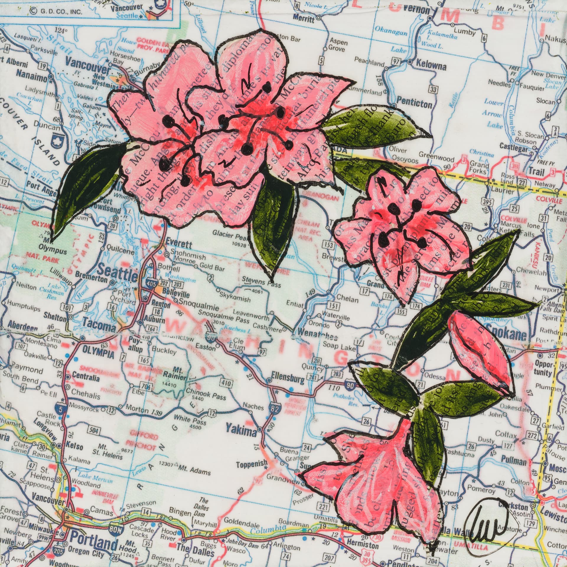State Flower of Washington: Rhododendron
