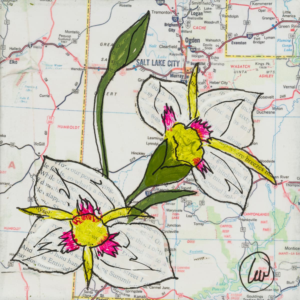 State Flower of Utah: Sego Lily