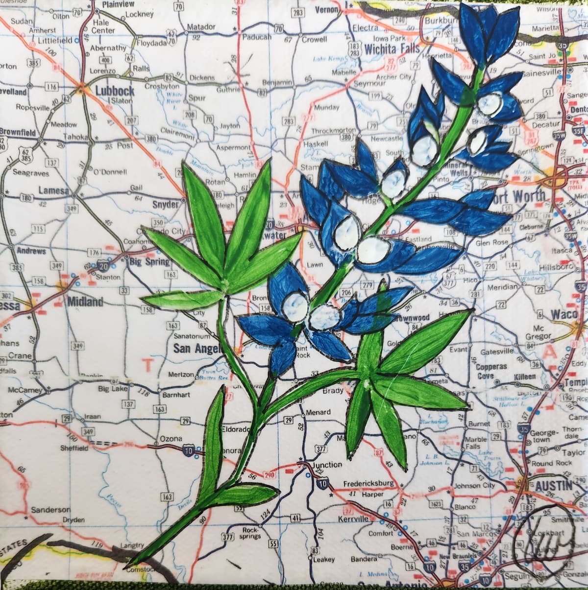State Flower of Texas: Bluebonnets