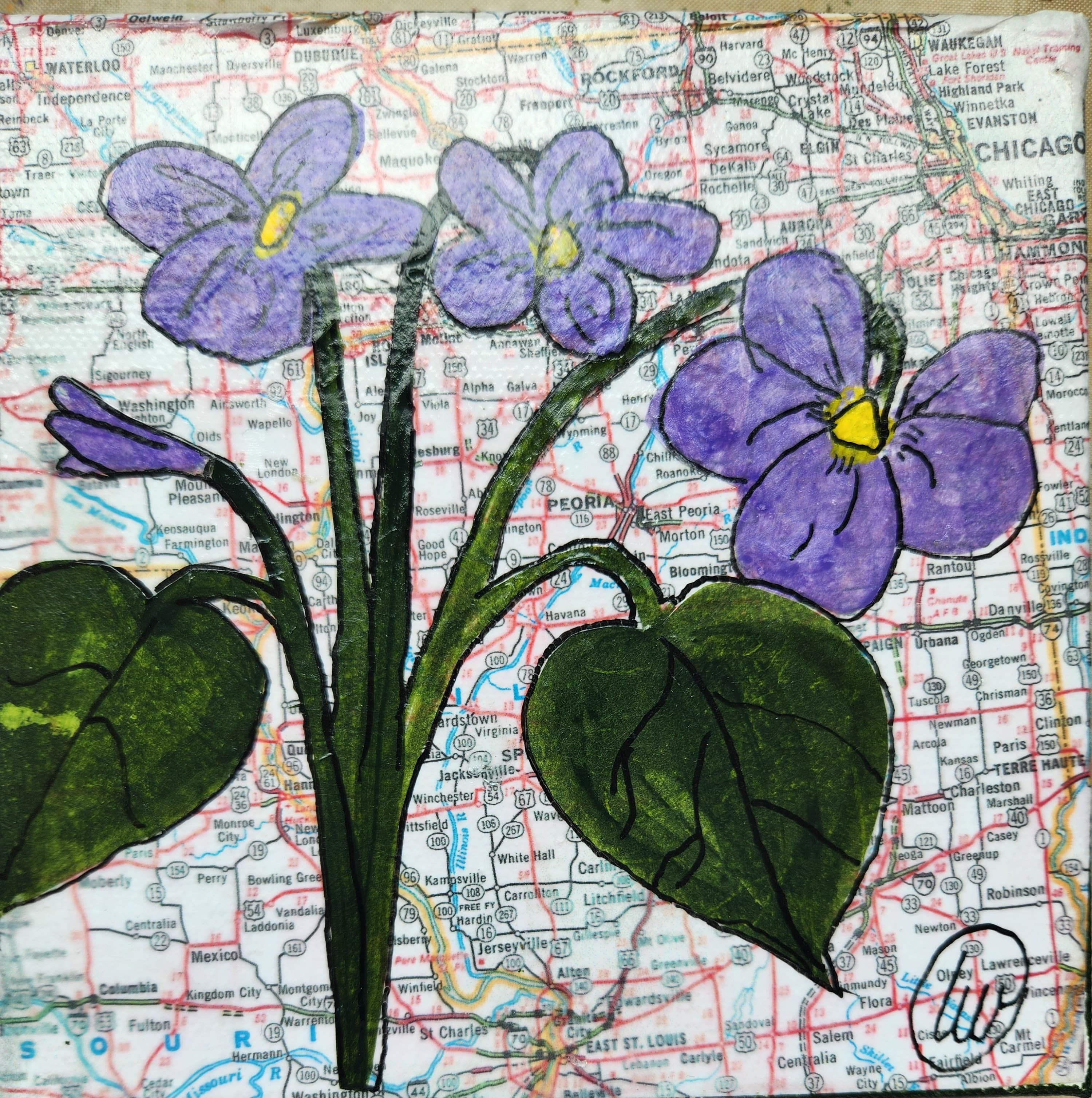 State Flower of Illinois: Violets
