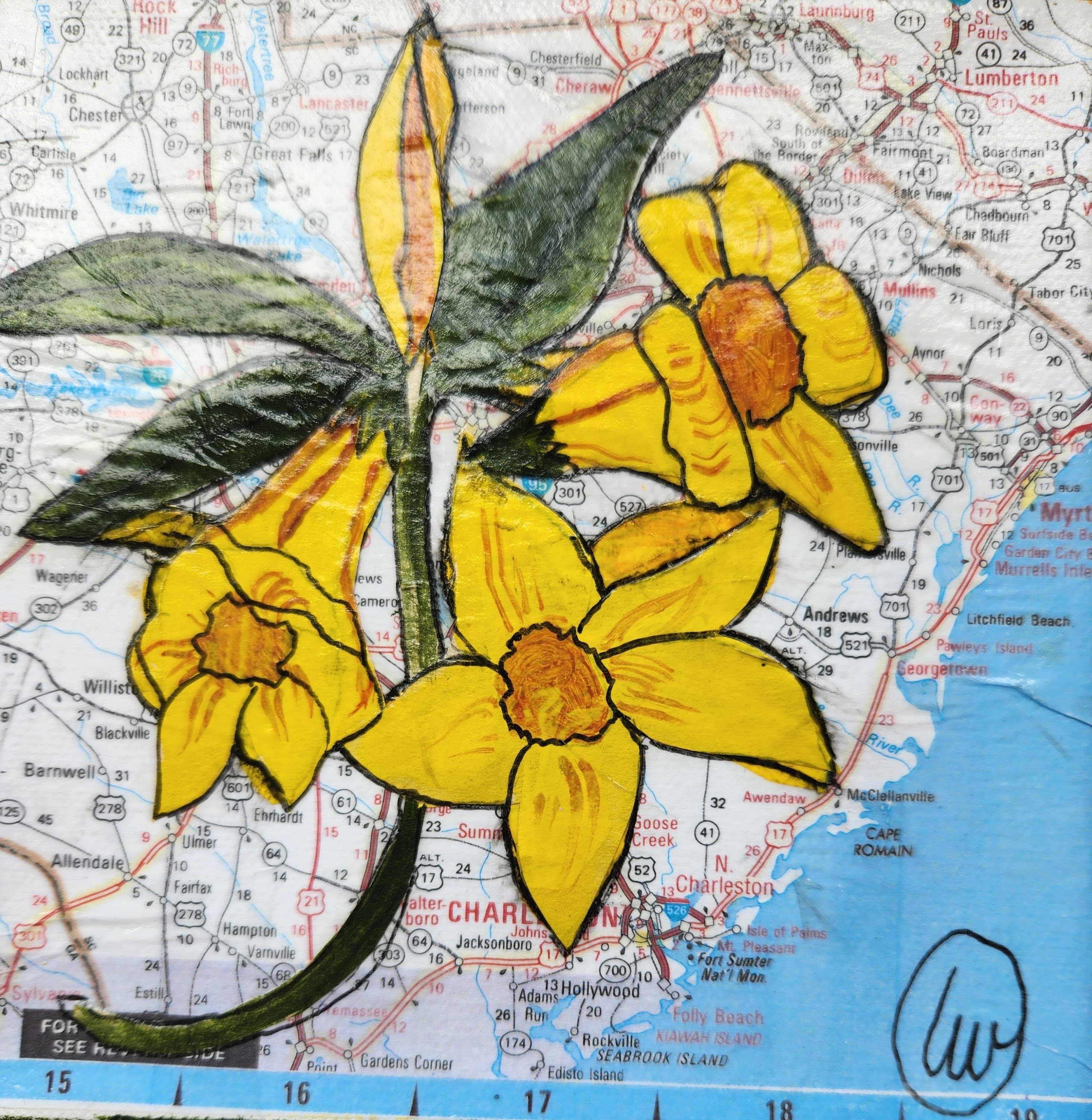 State Flower of South Carolina: Yellow Jessamine