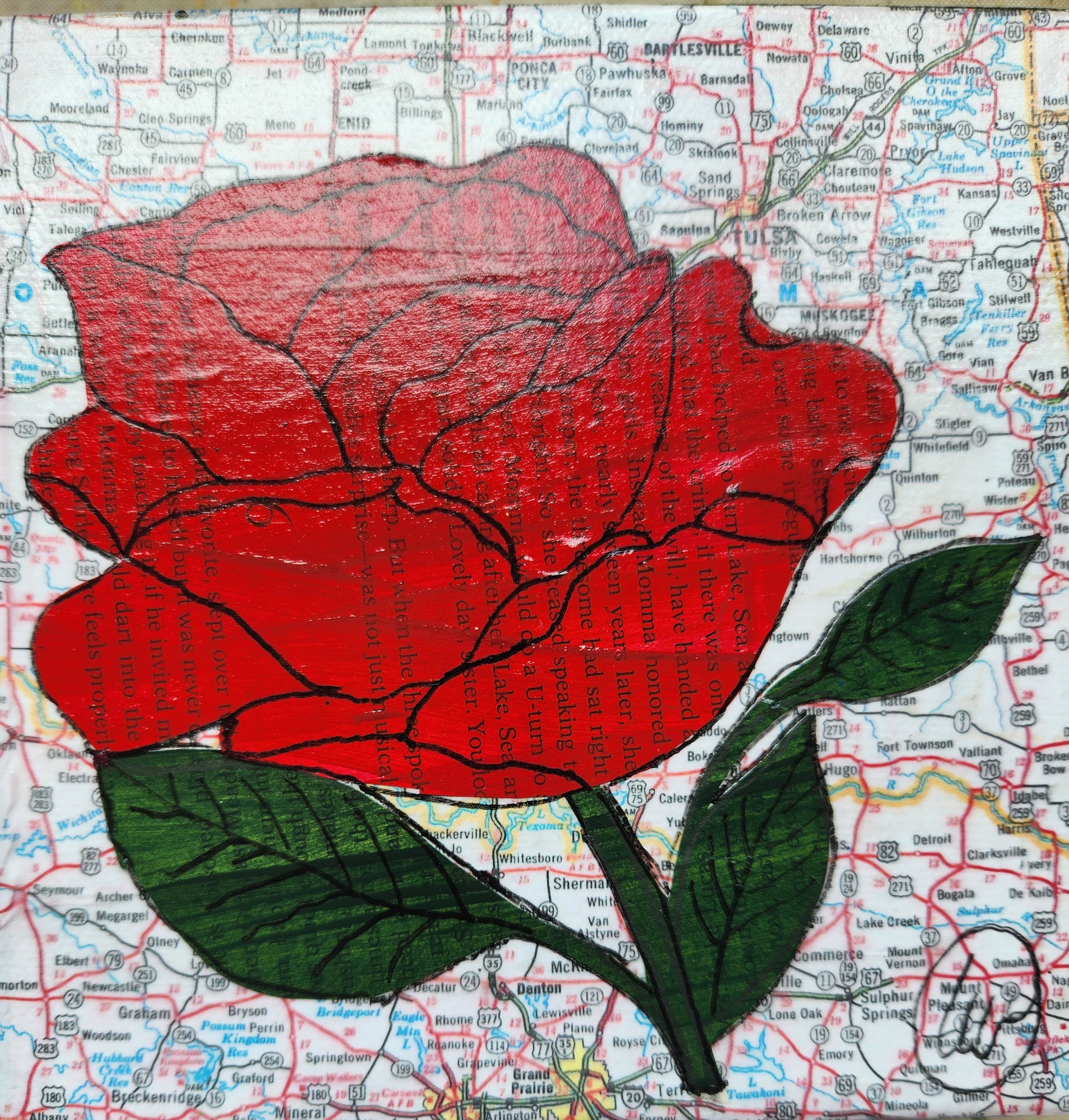State Flower of Oklahoma: Rose