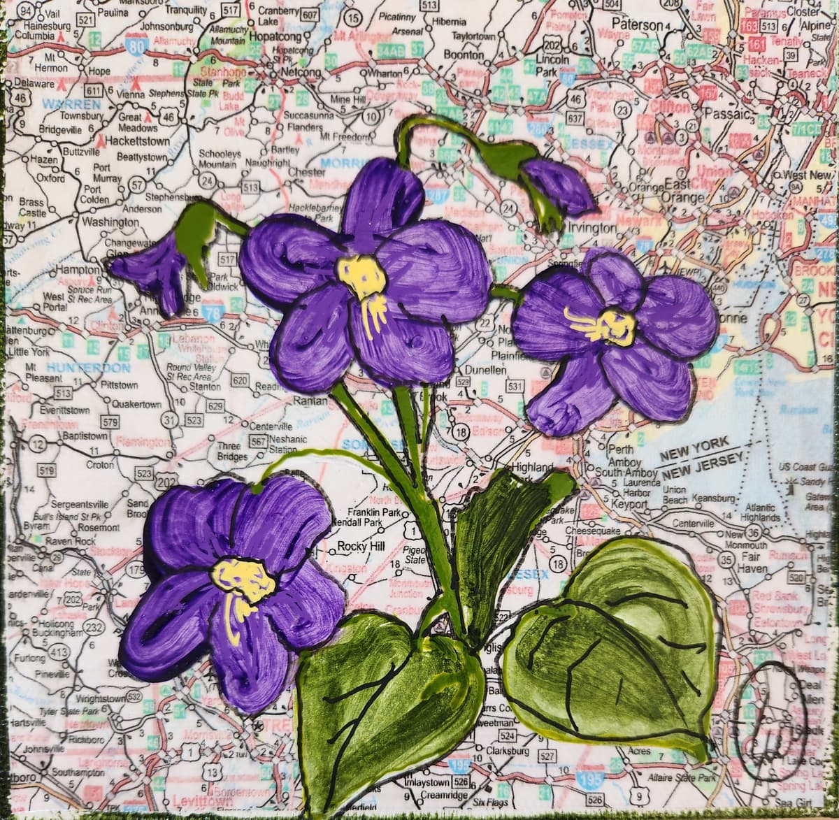 State Flower of New Jersey: Violet