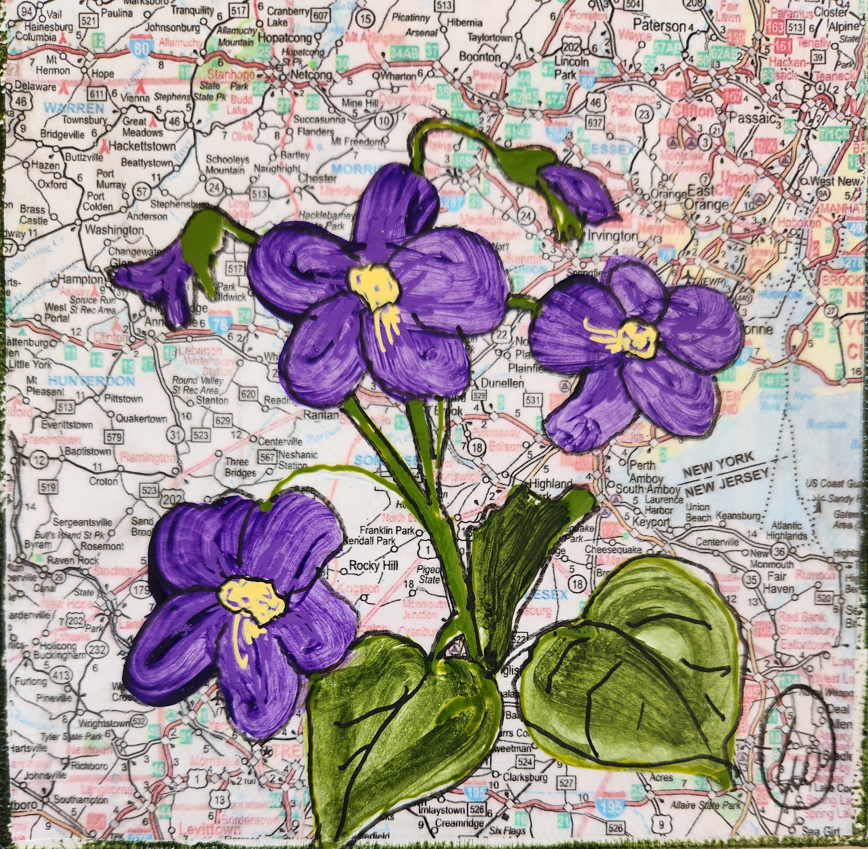 State Flower of New Jersey: Violet